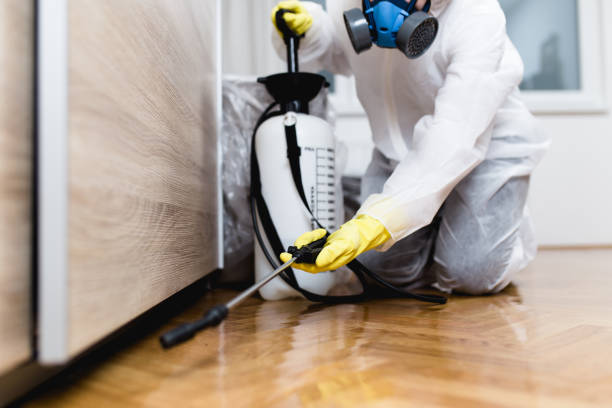 Best Mosquito Control Services  in Nevada, TX