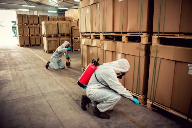 Best Pest Inspection Near Me  in Nevada, TX