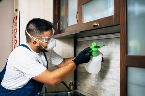 Best Local Pest Control Services  in Nevada, TX