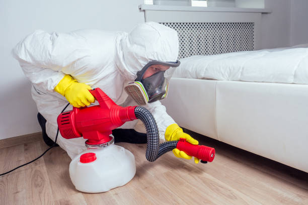 Best Pest Removal Services  in Nevada, TX