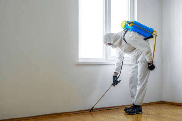 Best Pest Control Near Me  in Nevada, TX