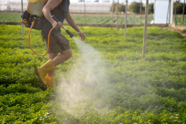 Nevada, TX Pest Control Company