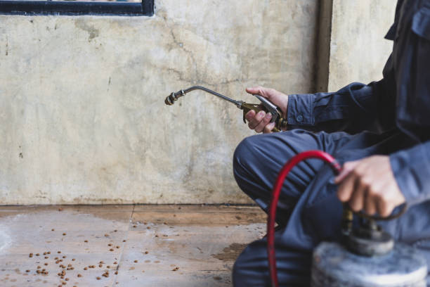 Best Affordable Pest Control Services  in Nevada, TX